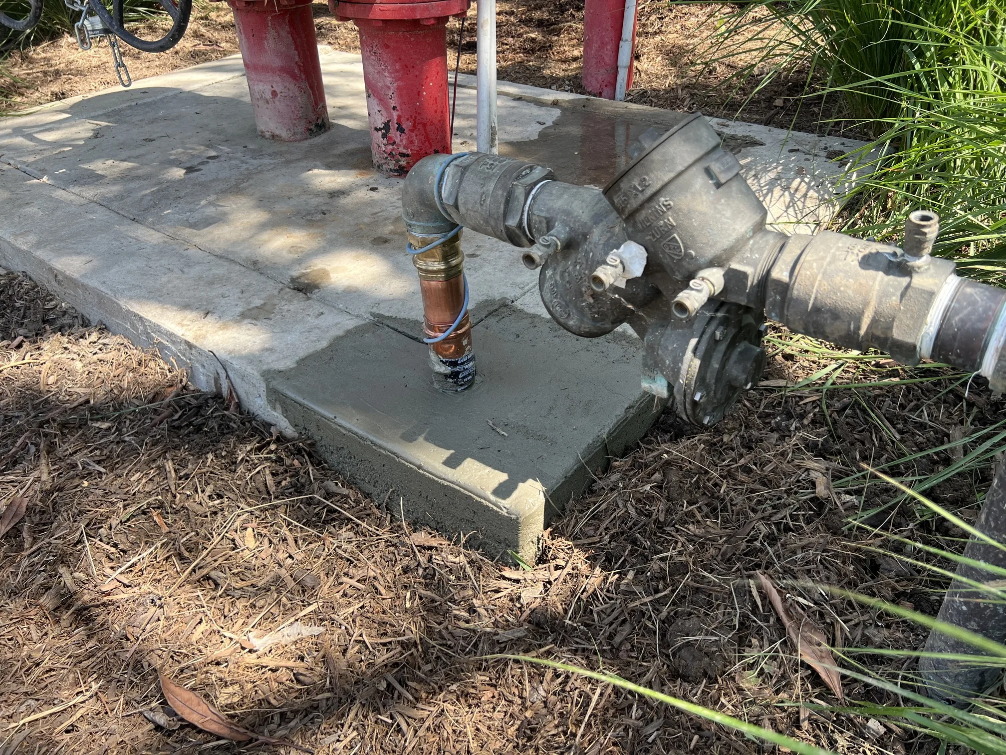 Backflow assembly and hydrant at a commercial property