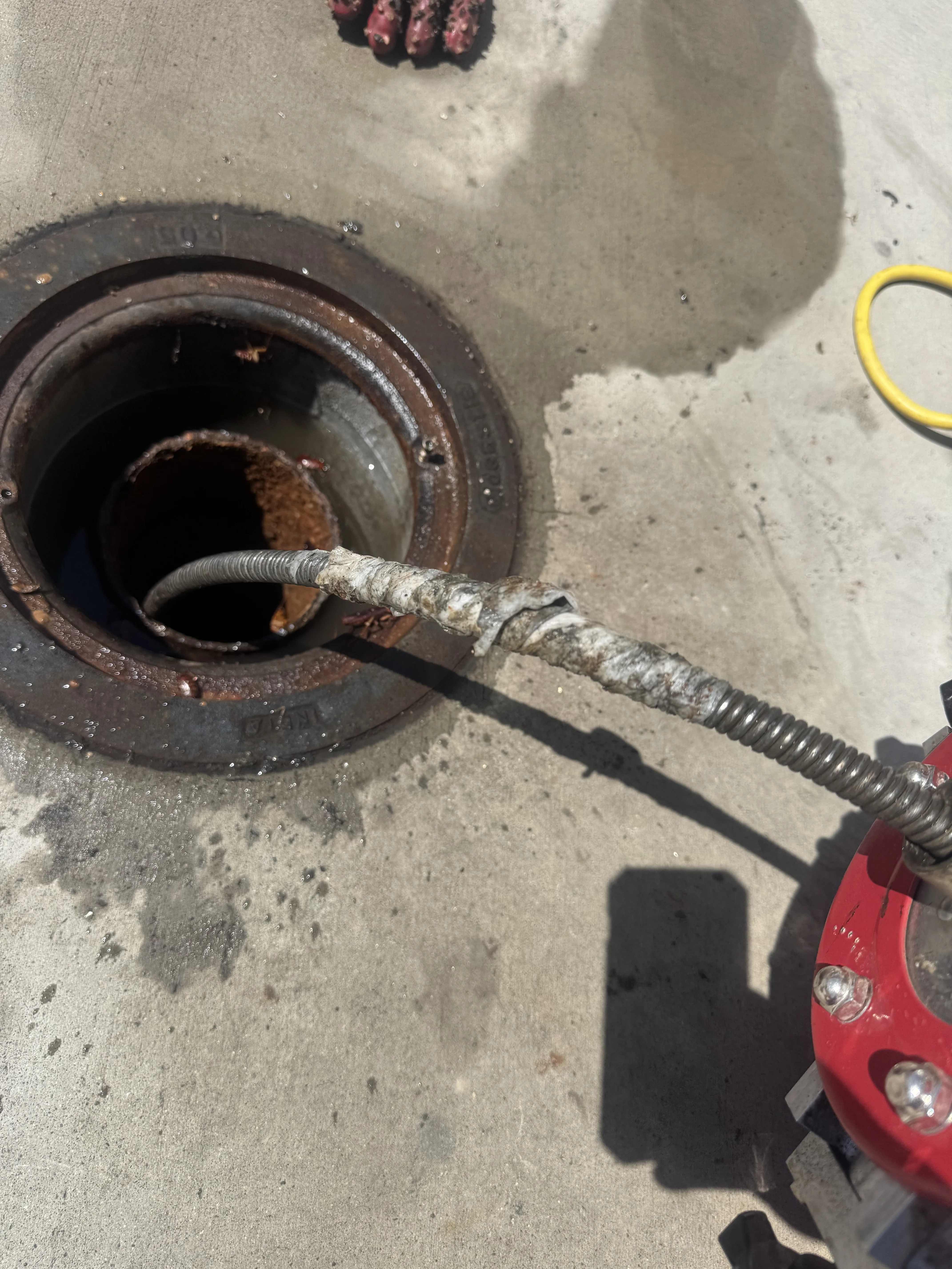 Drain snake clearing a commercial drain line