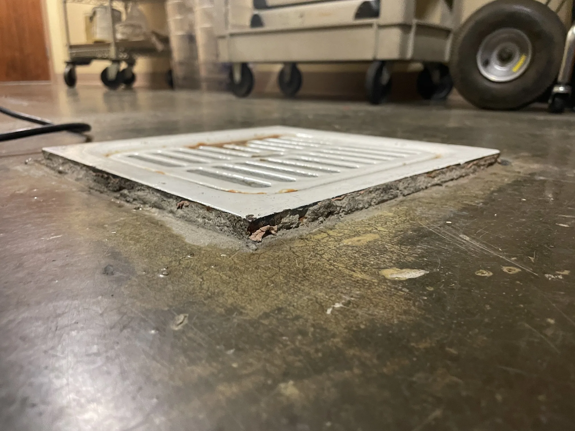 Commercial kitchen floor drain